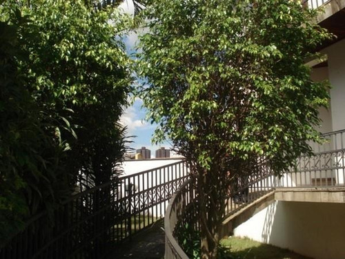 Sobrado Residencial À Venda, Jardim Textil, São Paulo. - So2660