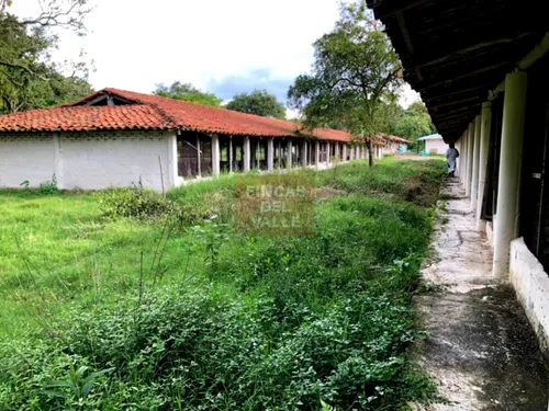 Buga, 23.200 M2, Se Vende Finca Avícola