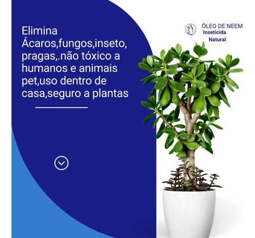 Óleo De Neem Nim Concentrado Puro Extrato 1 + Pulverizador