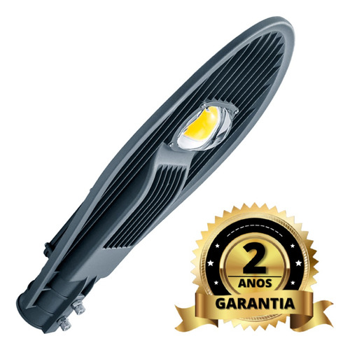 Luminária Pública Led 50w Cob Prova Dágua Rua Branco Frio Cor da carcaça Preto Cor da luz Branco-frio 110V/220V