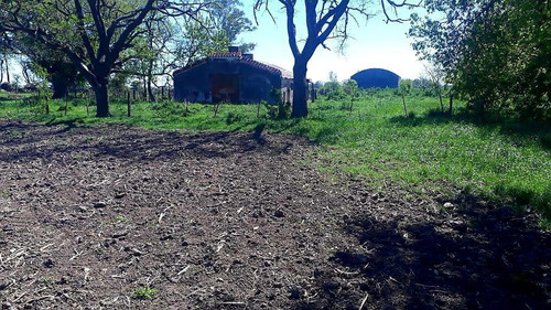 Campo - Santa Fe - Candioti - 90 Has