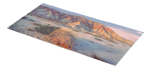 Póster Decorativo Para Acuarios, 61 X 41 Cm, Estampado De Mo