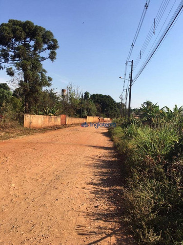 Imagem 1 de 6 de Terreno À Venda, 3000 M² Por R$ 325.000,00 - Indusville - Londrina/pr - Te0489