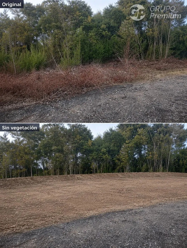 Parcela En Venta 5000m2 Con Apr Yungay