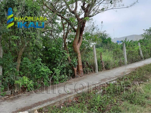 Imagen 2 de 10 de Terreno Comercial En Venta Primavera