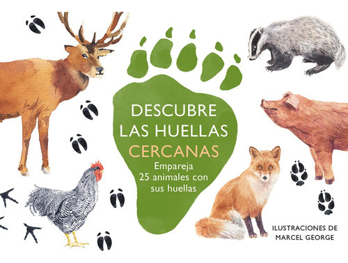 Memorama descobre pegadas próximas