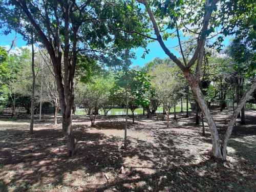 Imagem 4 de 10 de Casas - Ref: V3847
