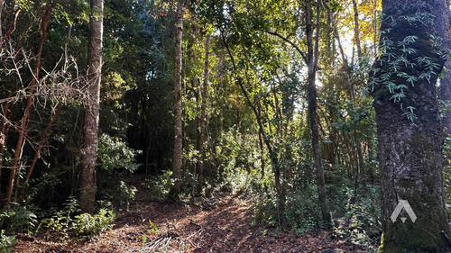 Parcela En Venta A 25 Minutos De Pucón (71229)