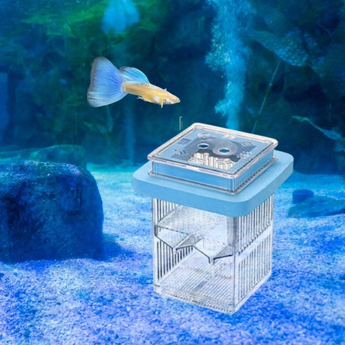 Mãe Fish Incubator Aquário Incubador Azul