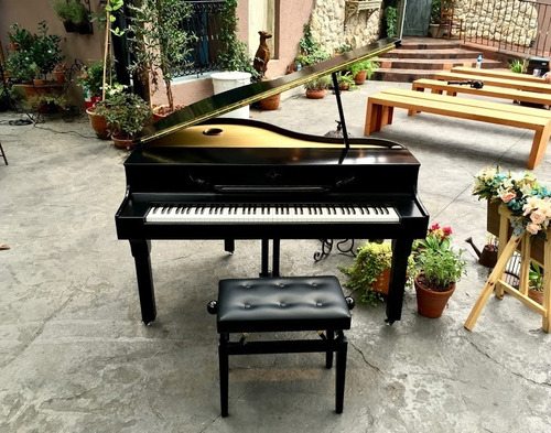 Imagem 4 de 10 de Aluguel De Piano De Cauda E Piano Digital De Cauda
