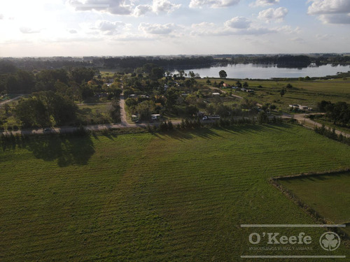 Tierra Para Desarrollo En Venta Sobre Ruta 3 Km 186, Las Flores