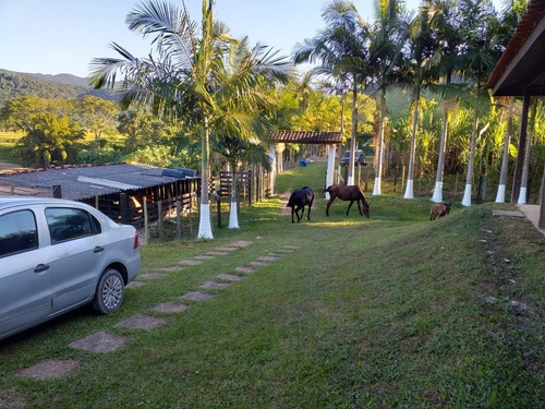 Imagem 11 de 15 de Sítio De 11 Alqueires-bairro Povo Grande- Iporanga-sp
