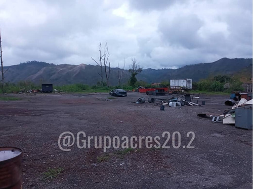 Imagen 2 de 7 de En Venta Un Gran Lote De Terreno En El Limoncito Vía Tejerías.lv