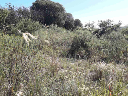 Imagen 3 de 3 de Lote De 600 M2 En Tierralta