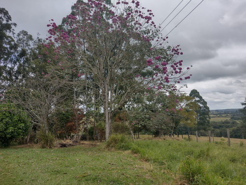 Imagem 17 de 30 de Chácara 4,5 Alqueires Casa Simples E Boa,poço Caipira Agua Cristalina,corrego No Fundo,fácil Acesso 800mts Do Asfalto,ótimo Pasto,27 Kms Itapetininga - Ch00081 - 69505662