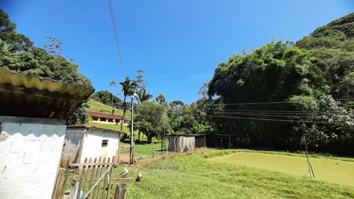 Imagem 17 de 30 de Sítio Das Ovelhas Em Juquitiba Com Renda Mensal Cód.: 4531
