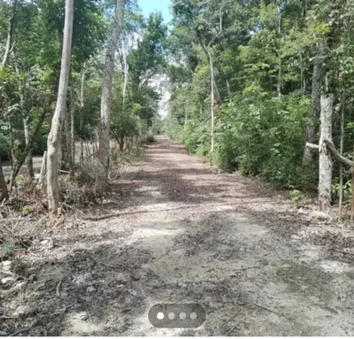 Terreno en venta