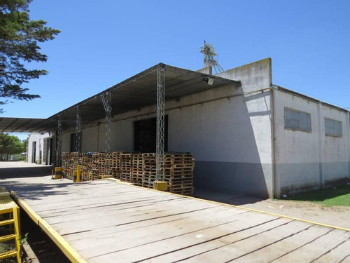 Venta De Planta Elaboradora De Alimento Balanceado Cordoba General Deheza