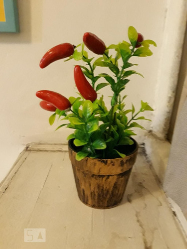 Apartamento À Venda - Flamengo, 1 Quarto, 38 - S893119715