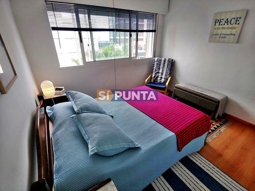 Imagen 6 de 12 de Apartamento En El Corazón De Punta!
