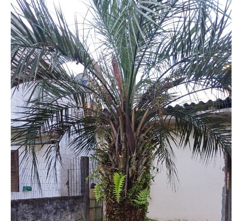 Ótima Localização Imóvel Em Canoas-aceito Trocas E Financiamento Bancário