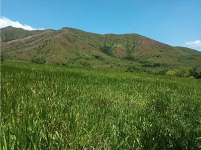 Hacienda-Finca en venta