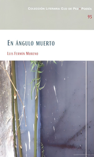 En Ãâ¡ngulo Muerto, De Moreno Álvarez, Luis Fermín. Editorial Diputación Provincial De Ciudad Real, Tapa Blanda En Español