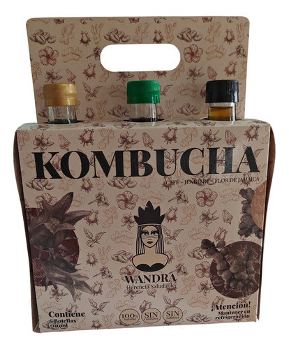 Six Pack De Kombuchas - g a $3