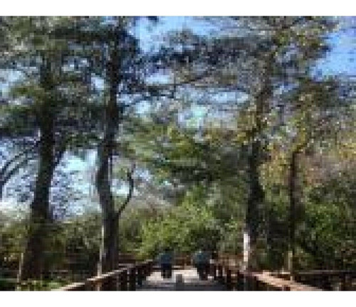 Imagen 3 de 4 de Excelente Terreno En Campo Timbó 1683m2 Sector A!