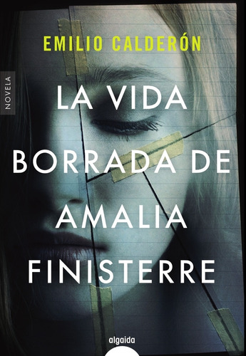 Libro La Vida Borrada De Amalia Finisterre