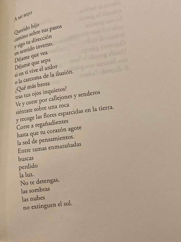 Libro Viviendo De Ernesto Carnevale Viajera Editorial