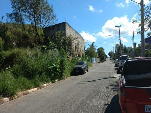 Imagem 4 de 5 de Terreno - Te00064 - 70276321