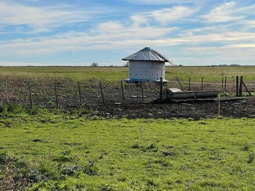 Imagen 7 de 19 de Campo En Venta !!! Gral Lavalle