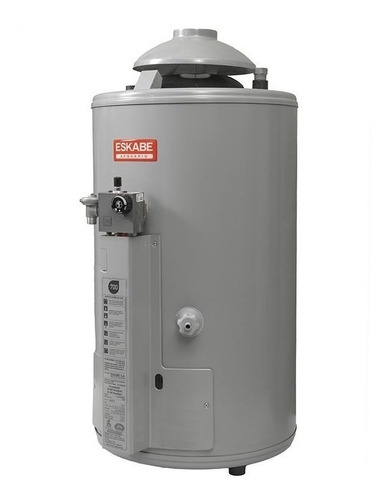 Termotanque multigas Eskabe Acquapiú A4 700 SV M gris plata 40L