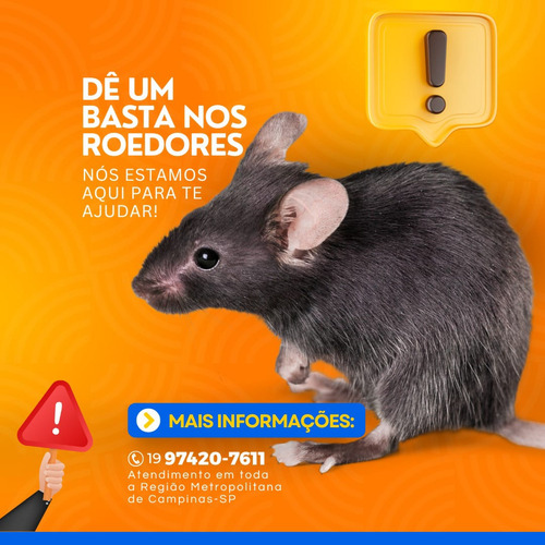 Combattpragas Serviços De Dedetização