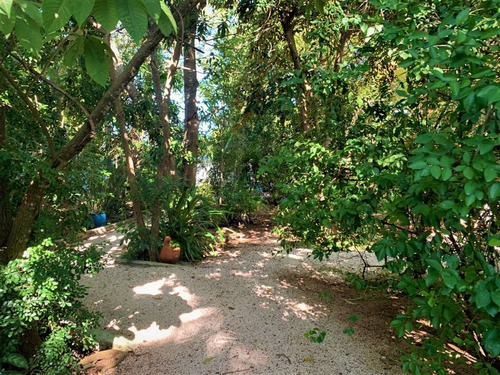 Imagen 3 de 14 de Departamento Amueblado Para Amantes De La Naturaleza