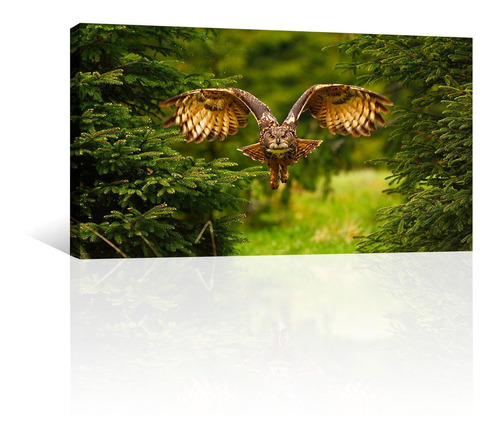 Cuadro Decorativo Animales Canvas Otros Buho Entre Arboles