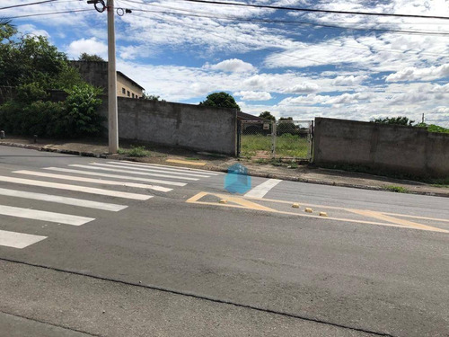 Imagem 14 de 20 de Terreno Satélite Ìris - Campinas - Te0803