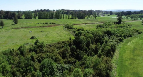 Vende Parcelas De 5000 Mt2 Con Rol, Proyecto Vive Osorno
