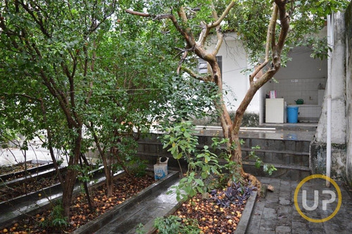 Imagem 14 de 15 de Casa Em Barroca - Belo Horizonte, Mg - 1560