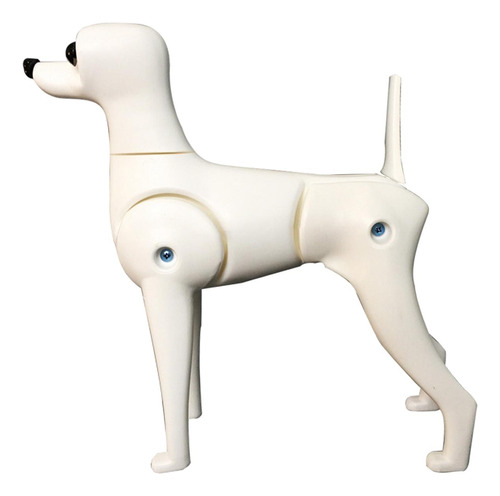 Modelo De Cuerpo De Perro Falso, Maniquí De De Peluche