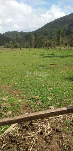 Imagem 2 de 7 de Chácara À Venda Em Canelinha/sc - 1025c
