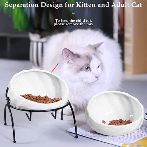 Cuenco De Gato Cuencos De Cerámica Para Comida Para Gatos