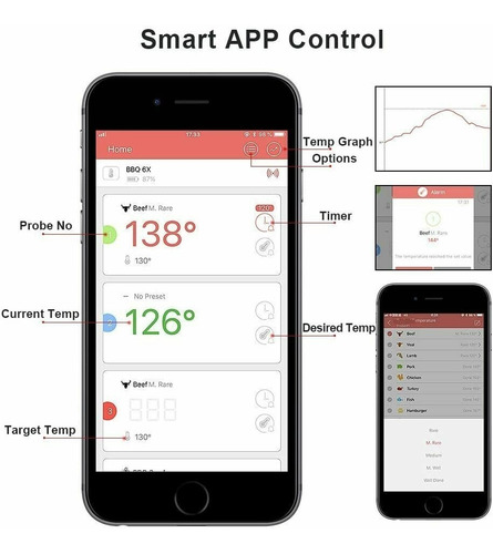 Smart Profesional Thermometer Bluetooth With 6 Probes Hauea
