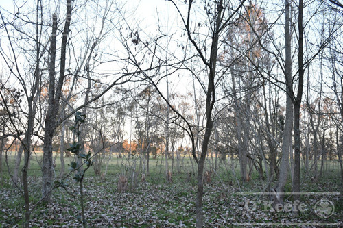Chacra En Venta 39 Has Florencio Varela