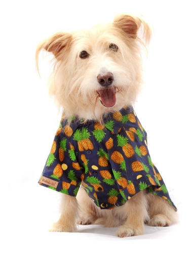 Camisa Estampada Fruits Para Cachorro E Gato - 00 - Azul