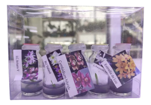 Colección Orquídeas In Vitro 5 Antibióticos Invitroorquid ®