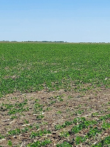 Imagen 13 de 17 de Campo En Venta En Pta Indio