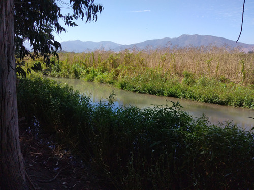 Campo De 18,2 Ha Con Agua, 690 M De Frente. Palmilla Vir.