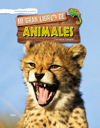 Mi Gran Libro De Animales (libro Original)